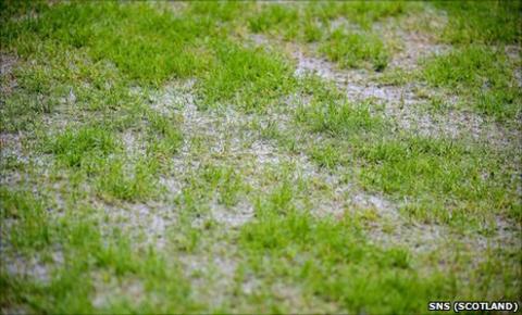 Easter Road pitch