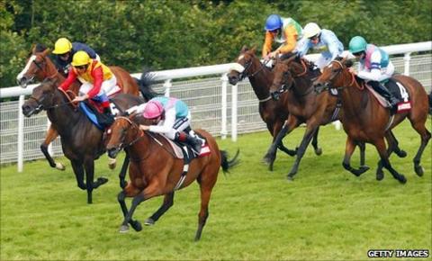 Midday Goodwood