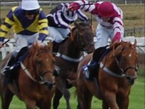 Horses at Les Landes