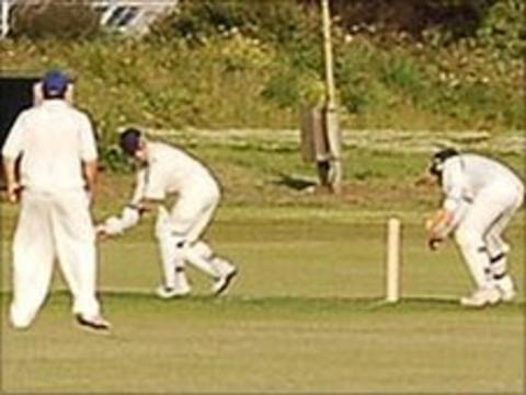 Cricket