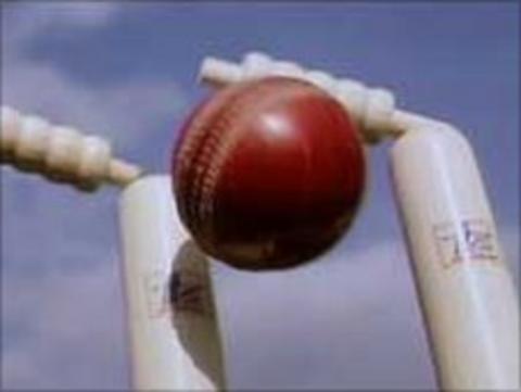 Cricket