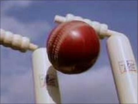 Cricket
