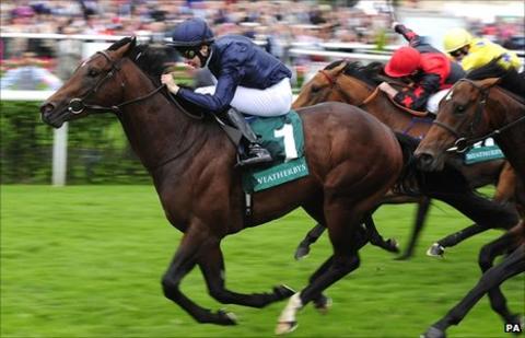 Joseph O'Brien on Reply