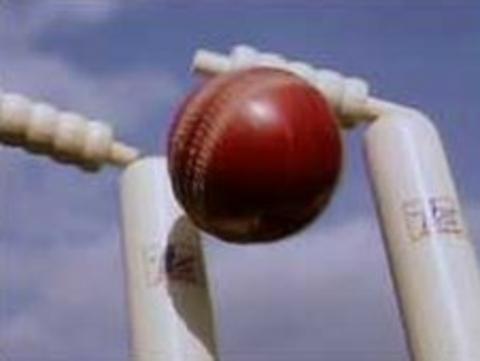 Cricket