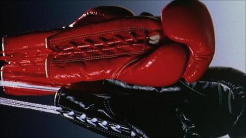 Boxing gloves