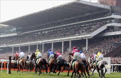Cheltenham racecourse