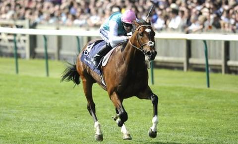 Tom Queally riding Frankel to an easy win at the Qipco 2000 Guineas Stakes at Newmarket in April