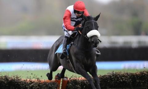 Ruby Walsh on Big Buck's