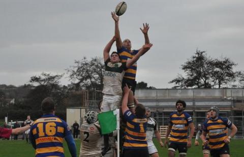 Guernsey Rugby Club