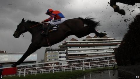 Grand National hopeful Niche Market has been retired