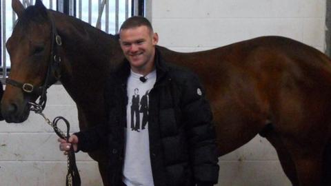 Wayne Rooney with his horse Switcharooney