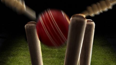 Cricket