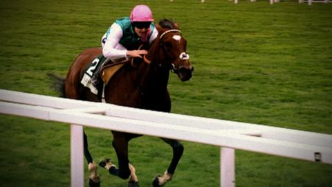 Frankel