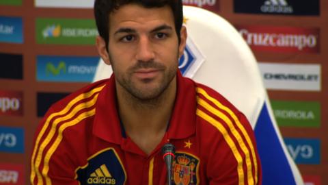 Cesc Fabregas