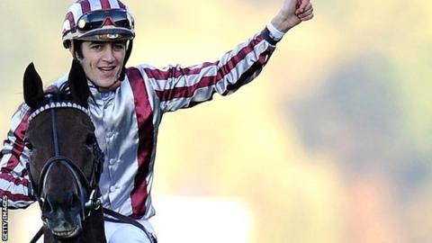 Cirrus Des Aigles won the 2011 Champion Stakes