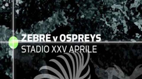 Zebre 16-34 Ospreys