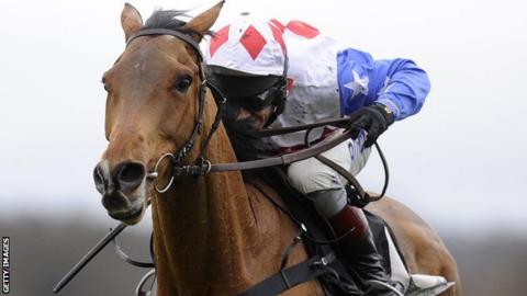 Long Walk Hurdle winner Reve De Sivola