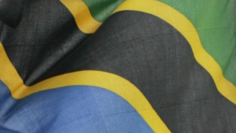 Tanzania flag