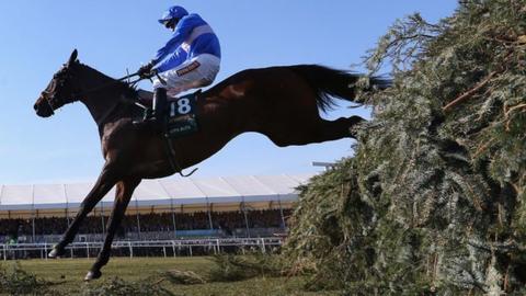 Cappa Bleu in action in the 2013 Grand National
