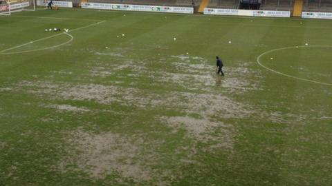 The pitch at Torquay's Plainmoor ground