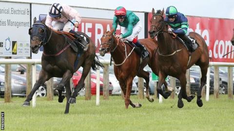 Sir Ector leads the field home at Down Royal
