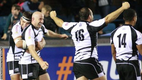 Zebre celebrate