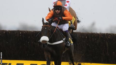 2011 Cheltenham Gold Cup winner Long Run among Grand National entries