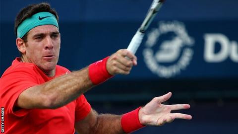 Argentine world number eight Juan Martin del Potro