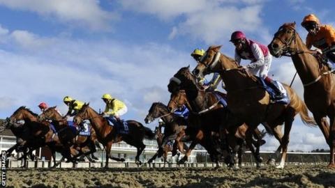 Runners leaving the stalls at Lingfield racecourse