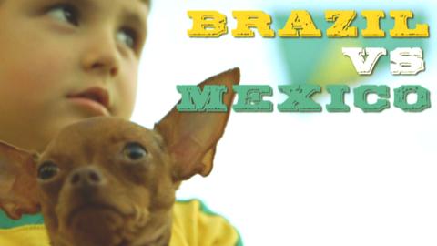 A young Brazilian fan with a small dog