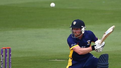 Paul Collingwood