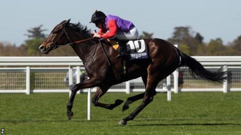 Estimate, which won the Gold Cup at Royal Ascot in 2013 and came second in 2014