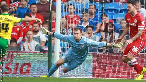Cardiff City goalkeeper David Marshall is unable to keep out Wesley Hoolahan's shot for Norwich