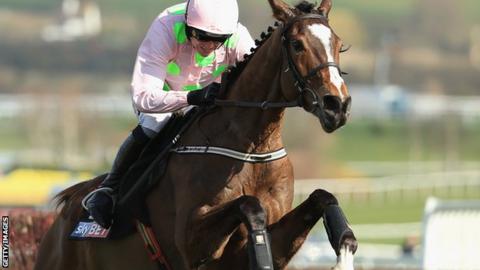 Vautour