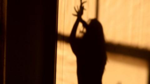 shadow of a bollywood dancer
