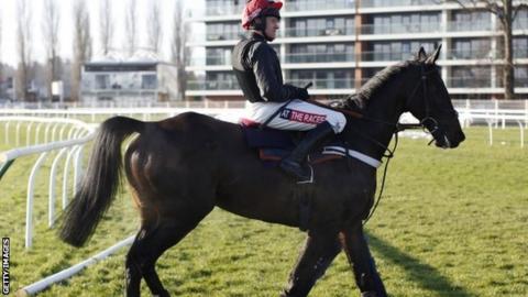 Sprinter Sacre at Newbury