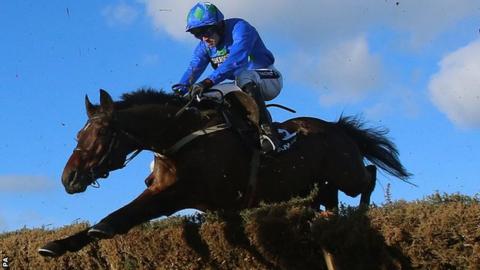 Hurricane Fly