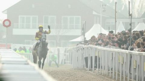 Dynaste at Cheltenham
