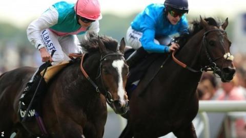 Snow Sky beats Brown panther