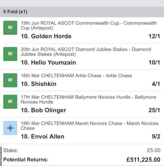 A bet slip showing a bet with Golden Horde, Hello Youmzain, Shishkin, Bob Olinger and Envoi Allen