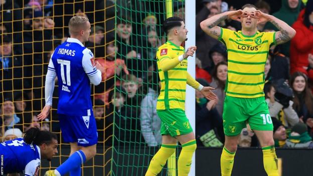 Norwich striker Ashley Barnes does his superhero/goggles celebration