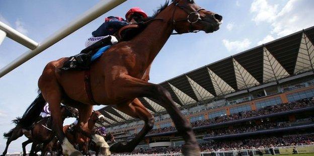 Trip To Paris wins Gold Cup at Ascot