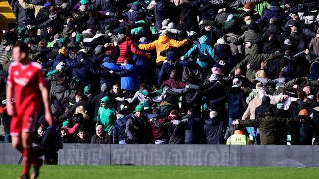 fans celebrate