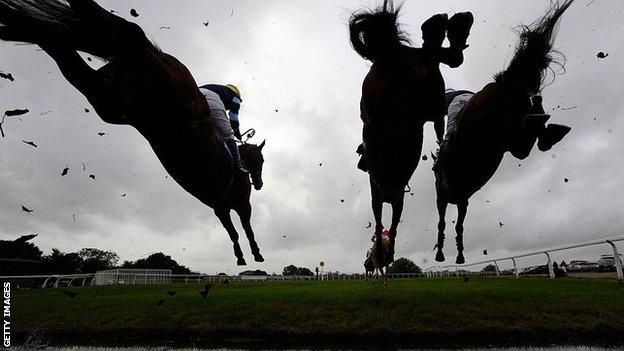 Horses over a jump