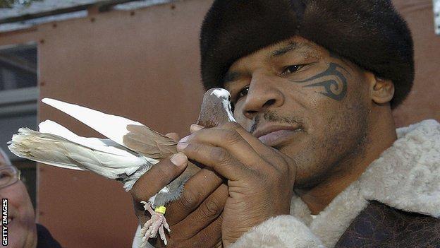 Tyson collected pigeons as a child and Bunce was with him when he visited pigeon fancier Horace Potts in the UK in 2005