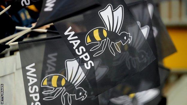 Wasps flags