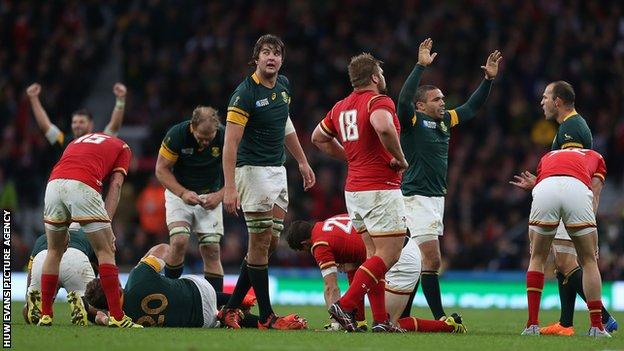 South Africa celebrate vs Wales