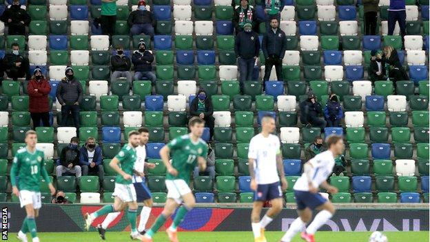 Northern Ireland fans in the stands at Windsor Park
