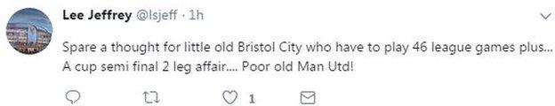 Bristol fan