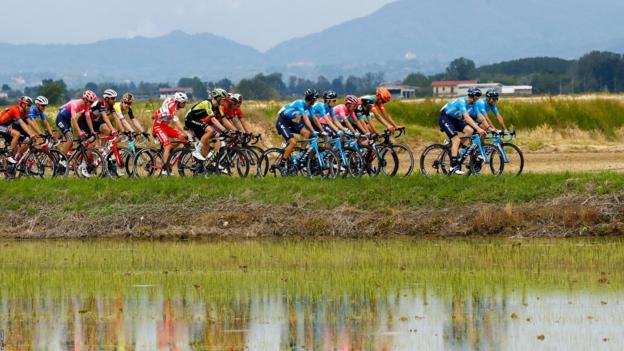 Ivrea, Italy, 26 May: The pack rides during stage fifteen of the 102nd Giro d'Italia - Tour of Italy - cycle race, 232kms from Ivrea to Como. (Photo by Luk BENIES /AFP/Getty Images)